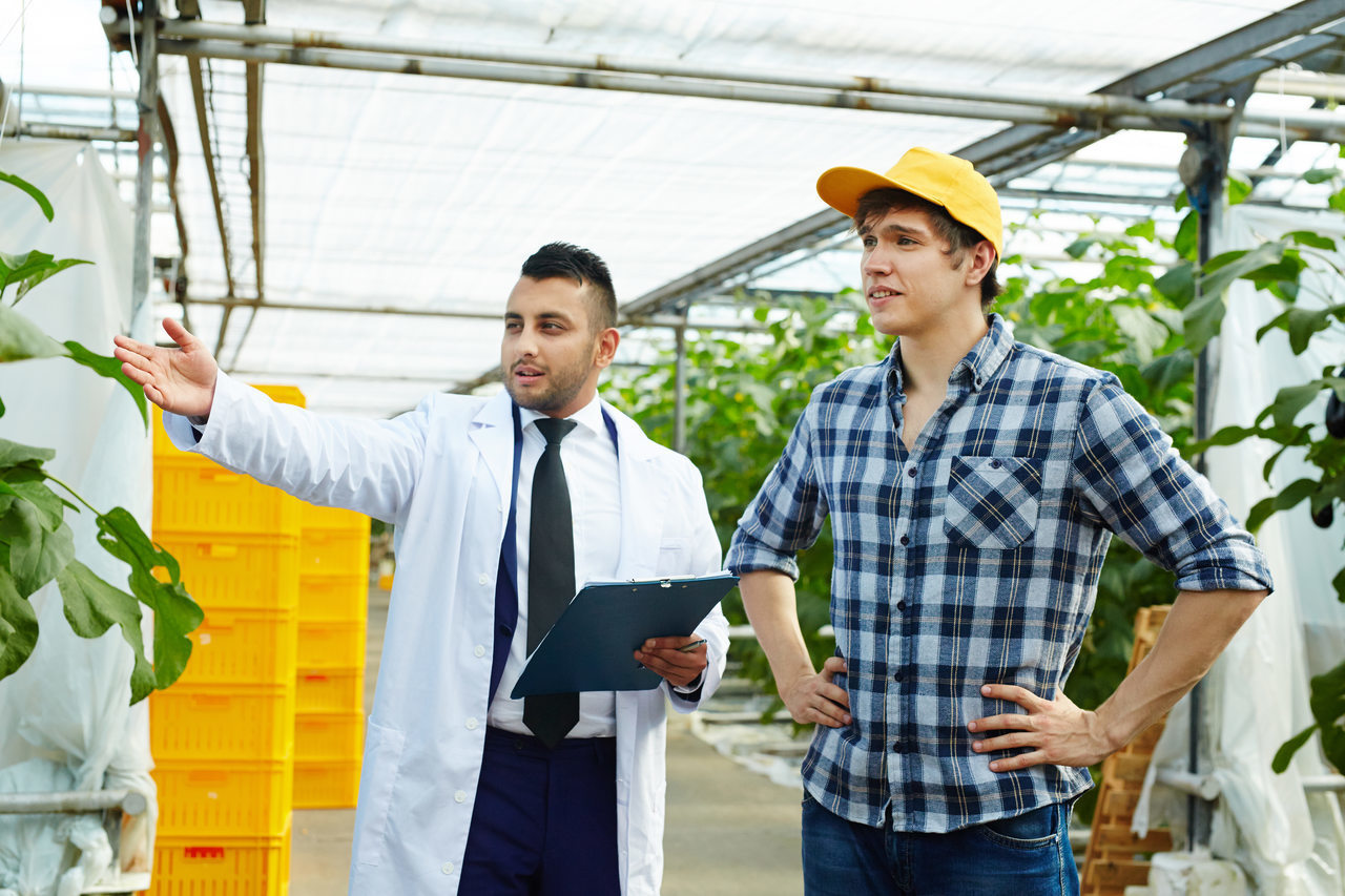 W3ERP - Saiba como funciona um sistema SAAS para agronegócio