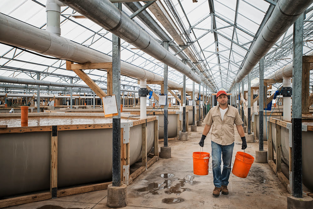 W3ERP - Pisciculturas: como o sistema ERP W3ERP pode ajudar a sua empresa