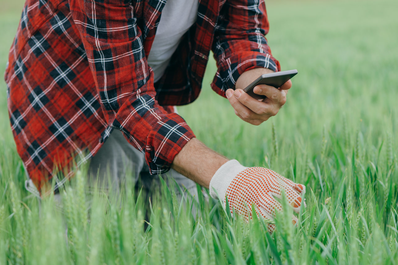 W3ERP - Software para produtor rural: Quais são seus benefícios?