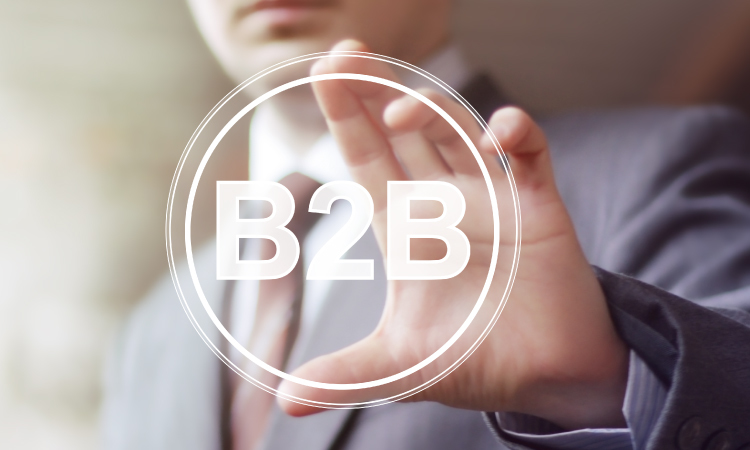 W3ERP - B2B online vira opção para distribuidores e outros negócios