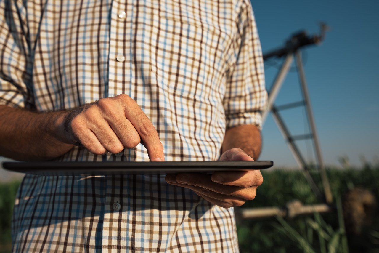 W3ERP - Aprenda na prática como se faz livro caixa do produtor rural