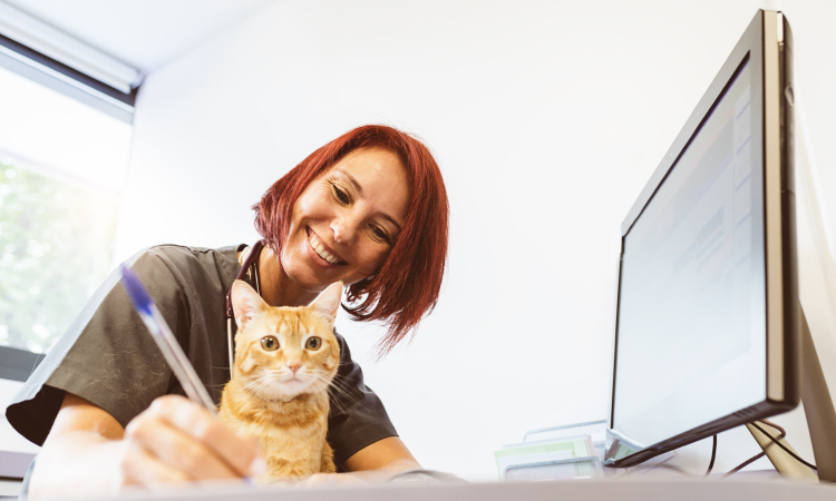 W3ERP - Tecnologia para automatizar hospitais veterinários