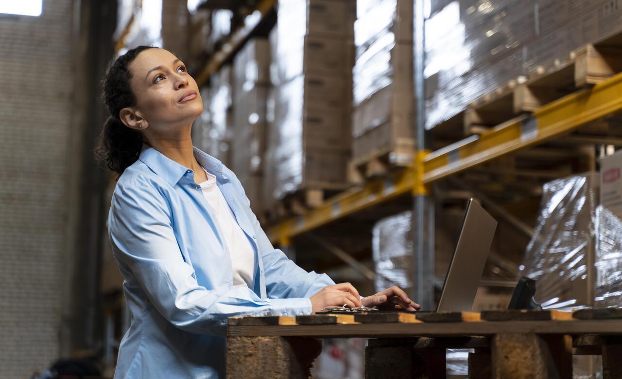 W3ERP - Sistema para distribuidoras: otimização de processos